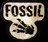 Fossil